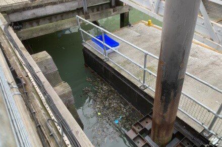 Picture73 Pontoon Concrete and Screeding, Southampton Docks - Amicus Civil Engineering Ltd